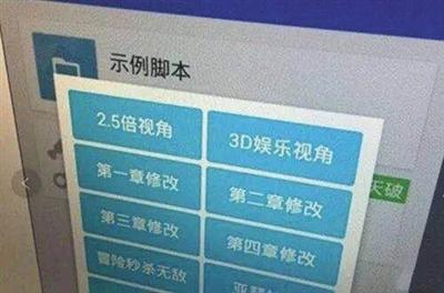 谢成开发的外挂可以实现作弊功能。江阴市检察院供图2.png