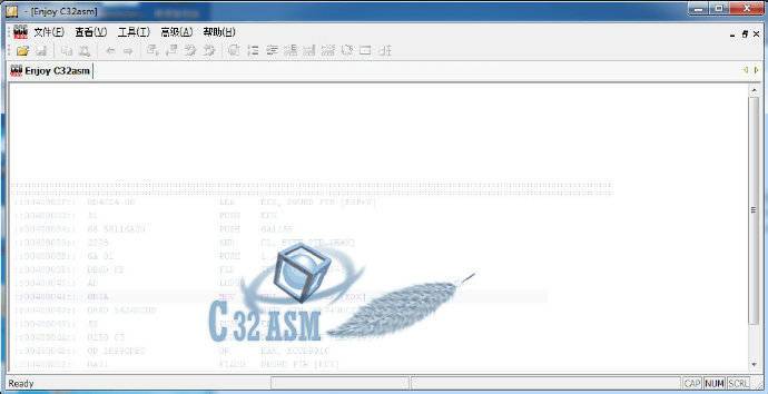C32Asm v1.0.9.0.jpg