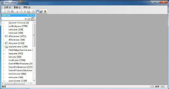 专业抓包工具 WSExplorer 1.0-1.3 绿色中文版打包(岁月联盟出品)
